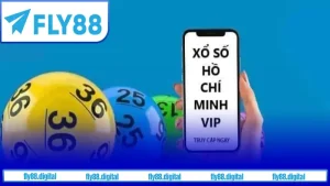 Chia Sẻ Trải Nghiệm Từ Người Chơi Hồ Chí Minh Vip
